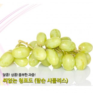 [수입과일] 미국 청포도 2kg (아이스박스포장)