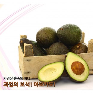 [수입과일] 아보카도 뉴질랜드/페루(개당 170g-180g) 10알