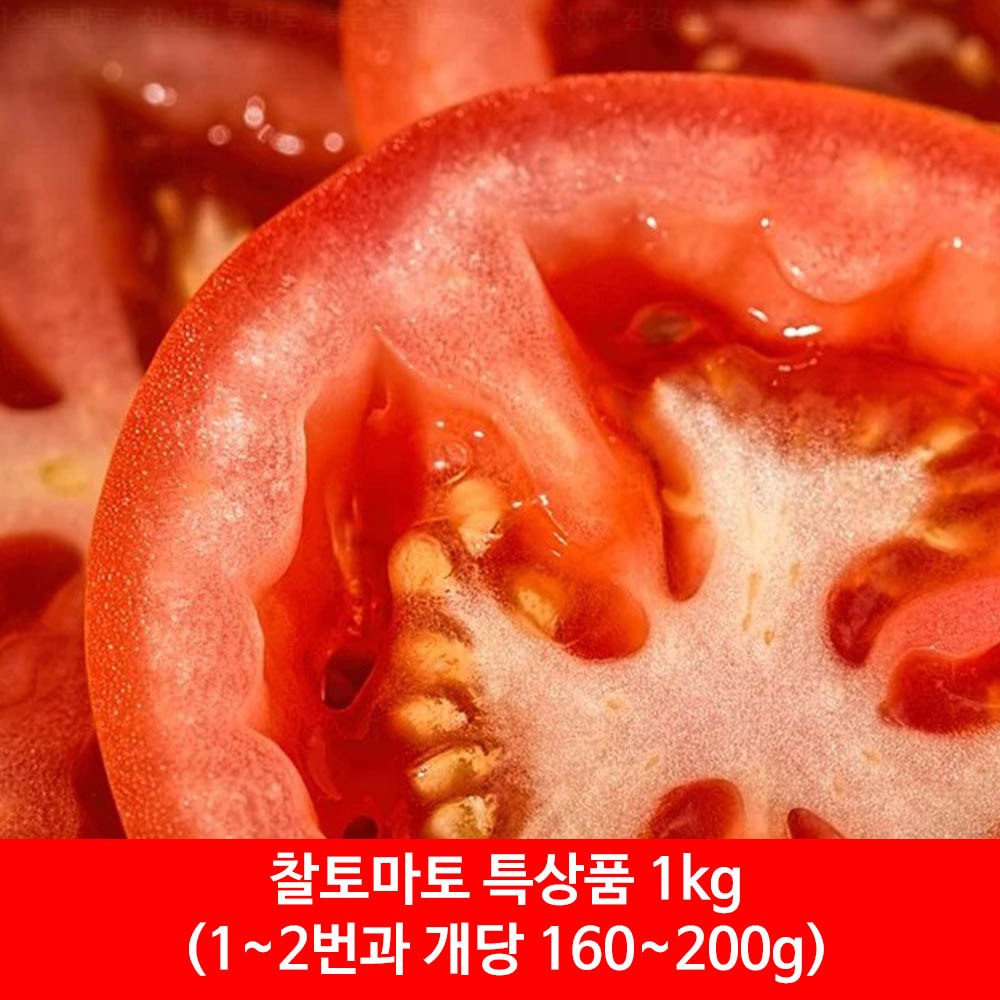 찰토마토 특상품 1kg(1~2번과 개당 160~200g)