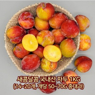 [아이스팩 동봉] 새콤달콤 국내산 자두 1kg(14~20개, 개당 50~70g 중대과)