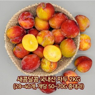 [아이스팩 동봉] 새콤달콤 국내산 자두 2kg(28~40개, 개당 50~70g 중대과)