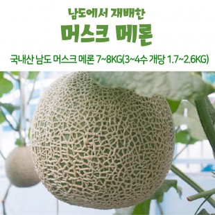 국내산 남도 머스크 메론 7~8kg(3~4수 개당 1.7~2.6kg)