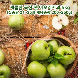 [아이스박스+아이스팩동봉] 새콤한 국산 햇 아오리사과 5kg(실중량 21~25과 개당중량 200~250g)