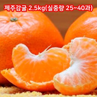 [보자기포장+감사문구부착+아이스박스+팩 동봉] 제주감귤 2.5kg(실중량 25~40과)