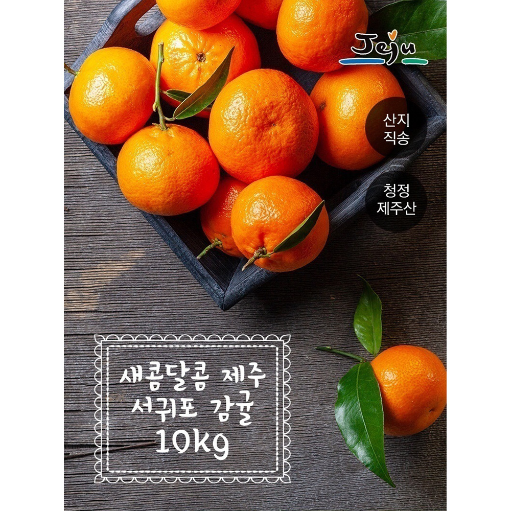 제주도 햇 노지감귤 10kg