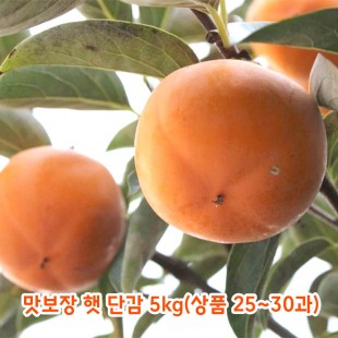 맛보장 햇 단감 5kg(상품 25~30과)