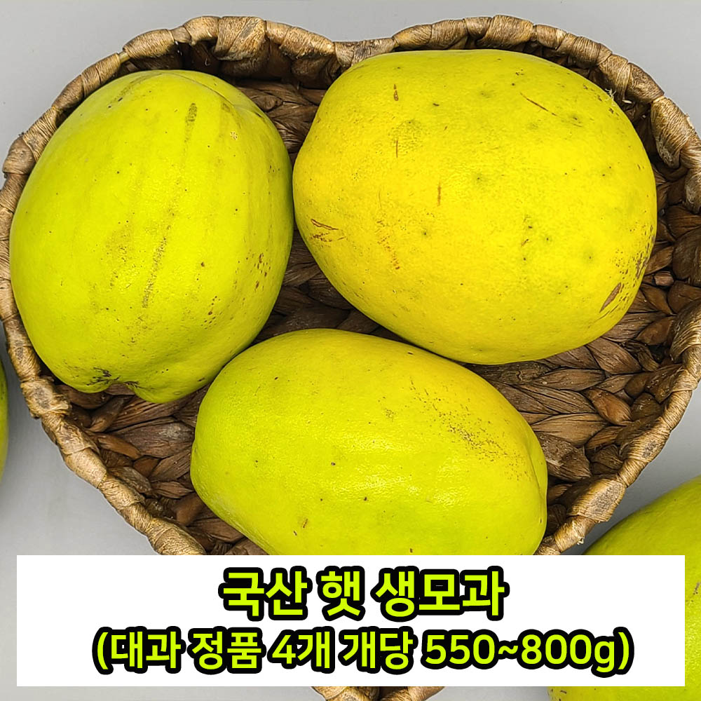 국산 햇 생모과 (대과 정품 4개 개당 550~800g)