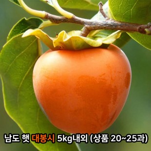 남도 햇 대봉시 5kg내외 (상품 20~25과)