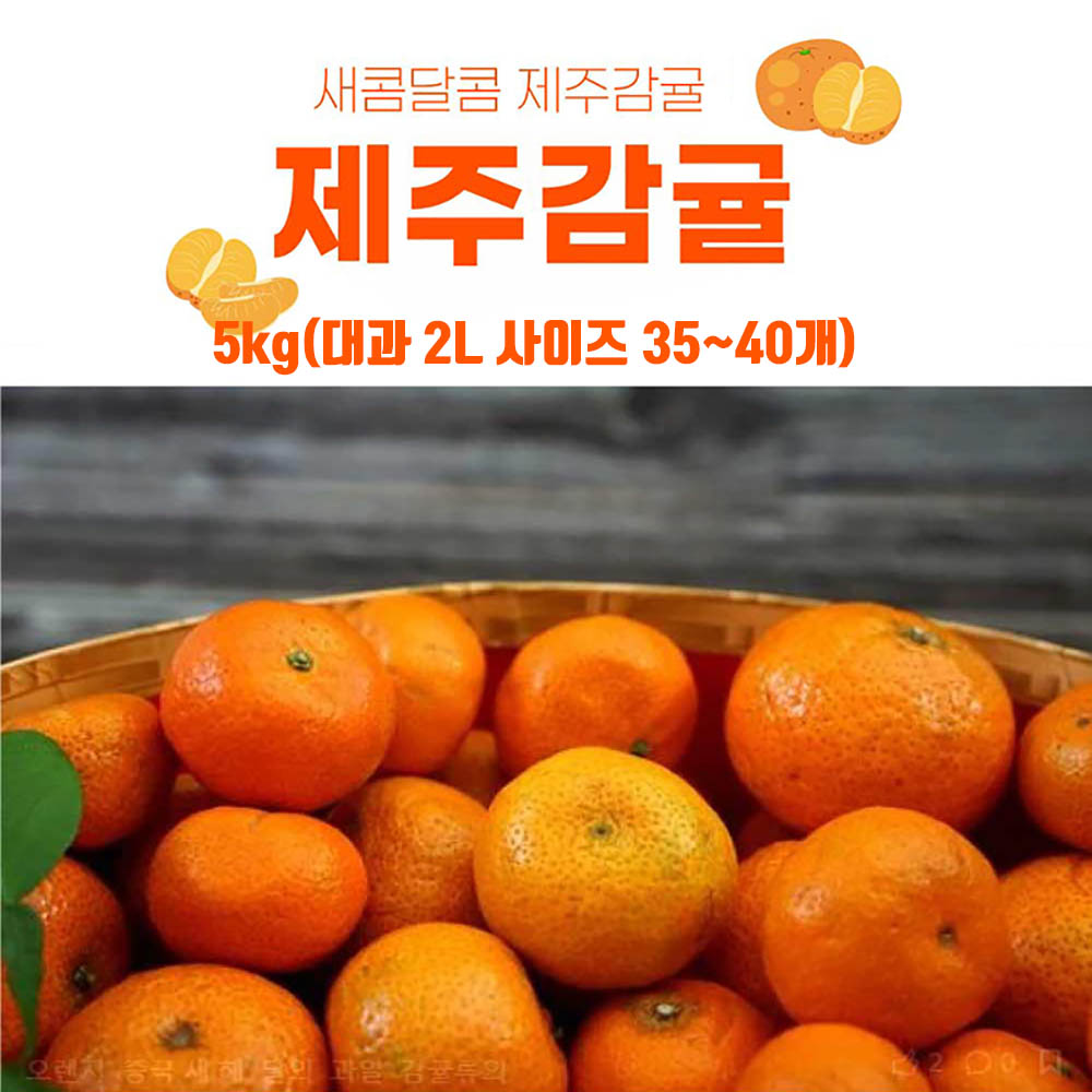 서귀포 햇 감귤 5kg(대과 2L 사이즈 35~40개)